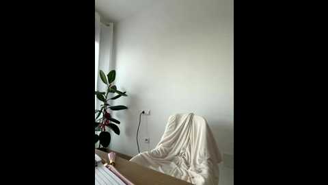 streetdoll @ stripchat on 20251008