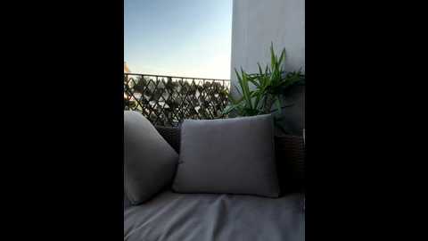 sweetalegra_ @ stripchat on 20251008