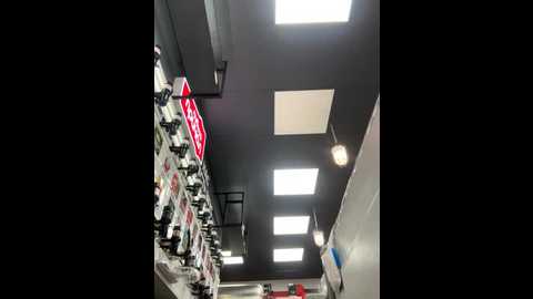 alishaofthorns @ stripchat on 20251009