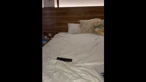 aurii_angel @ stripchat on 20251009