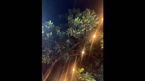 aurora_coldd @ stripchat on 20251009