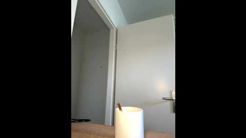 elenascrib @ stripchat on 20251009