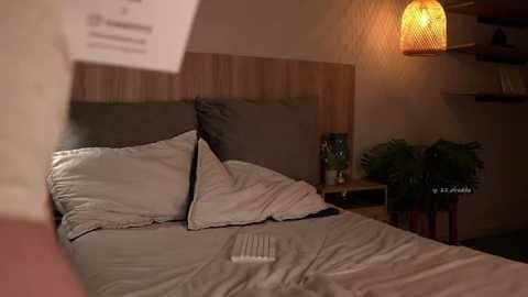 afrodita__25 @ stripchat on 20251010