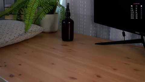 darylbarks @ stripchat on 20251010