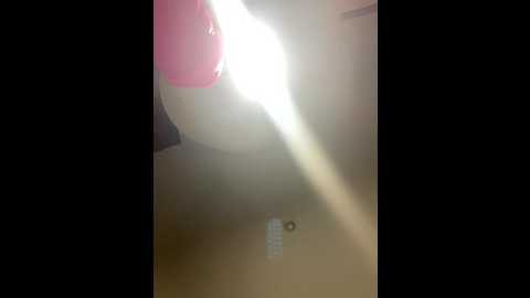 dasilva_elsa21 @ stripchat on 20251010