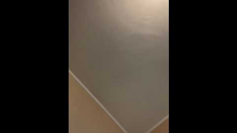 evelyn39 @ stripchat on 20251010