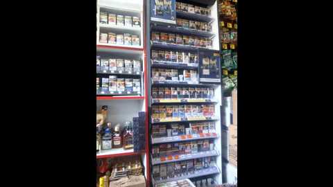 fluturas2 @ stripchat on 20251010