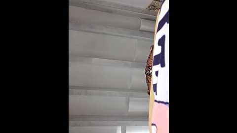 kylie_blck @ stripchat on 20251010