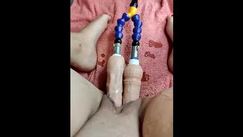 lola_hale @ stripchat on 20251010