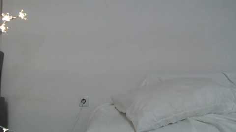 nnn_hhh2 @ stripchat on 20251010