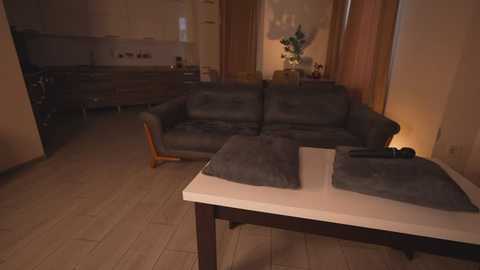 reardens @ stripchat on 20251010