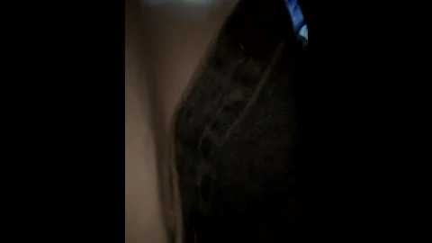 xiaoqiao_ss @ stripchat on 20251010