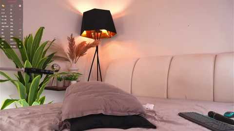 engelcoyner @ stripchat on 20251011