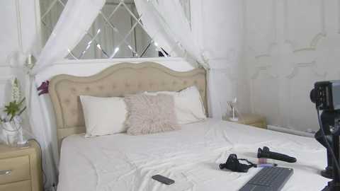 evelyn_neal @ stripchat on 20251011