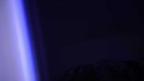 hotmilfbitch @ stripchat on 20251011