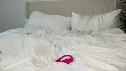 mariareevx @ stripchat on 20251011