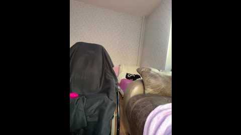 minisophiaa @ stripchat on 20251011