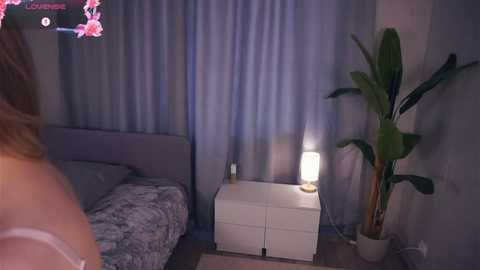 veronabench @ stripchat on 20251011