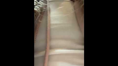 bambi_lu @ stripchat on 20251012