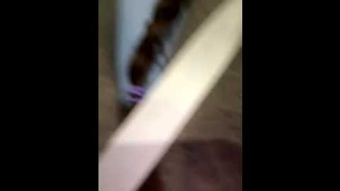 froggyanna @ stripchat on 20251012