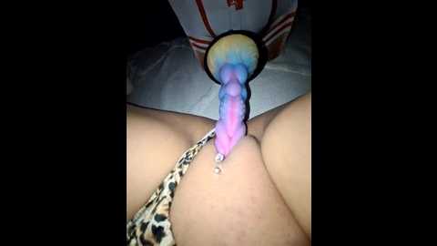 iitaniee @ stripchat on 20251012