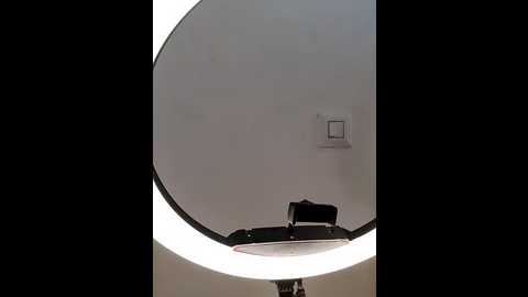 indian_bhabhi01 @ stripchat on 20251012