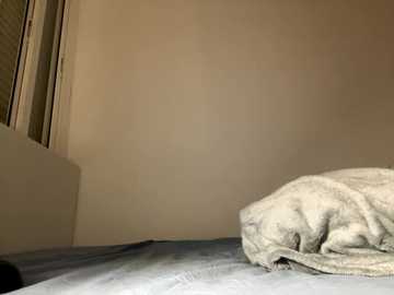 lisa_5329 @ stripchat on 20251012