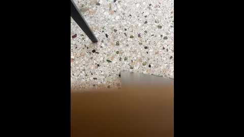 monikaas @ stripchat on 20251012