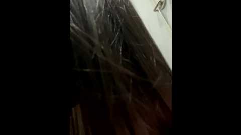 xiao_lin @ stripchat on 20251012