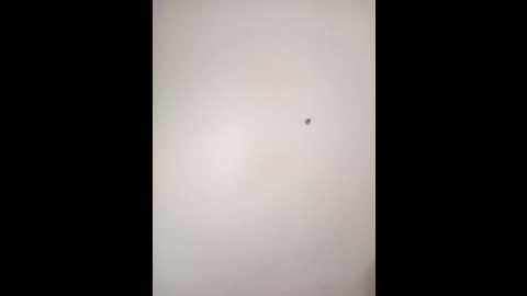 amandaxxx98 @ stripchat on 20251013