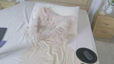 evelyn_neal @ stripchat on 20251013