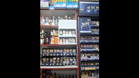 fluturas2 @ stripchat on 20251013