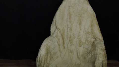 lola_sky@xh @ stripchat on 20251013