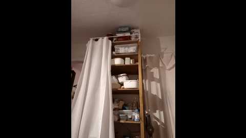 milf_love_fist99 @ stripchat on 20251013