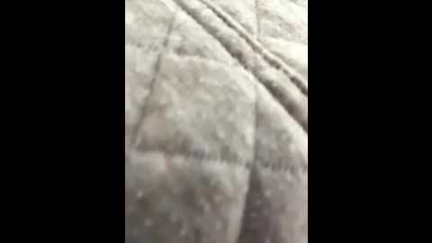 nikamur @ stripchat on 20251013