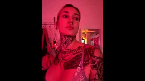 stella_kink @ stripchat on 20251013