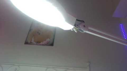 asserinaaa @ stripchat on 20251014