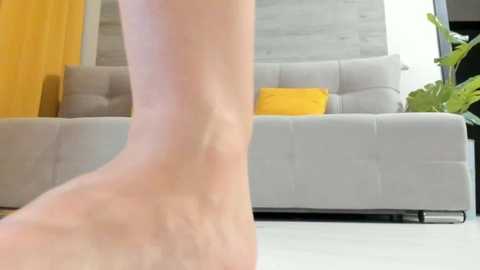 irenehabibi @ stripchat on 20251014