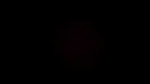 lil7777x @ stripchat on 20251014