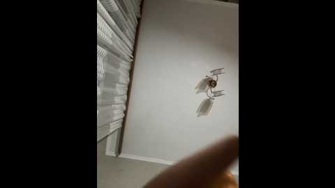 maar_tina @ stripchat on 20251014