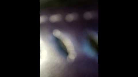 milf_love_fist99 @ stripchat on 20251014