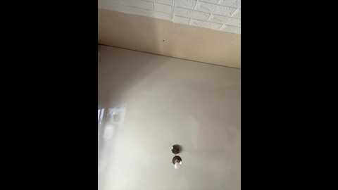 mirareach @ stripchat on 20251014