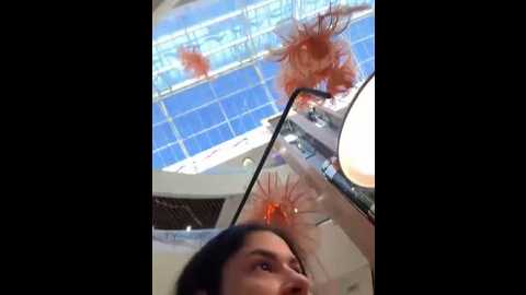 mirareach @ stripchat on 20251014