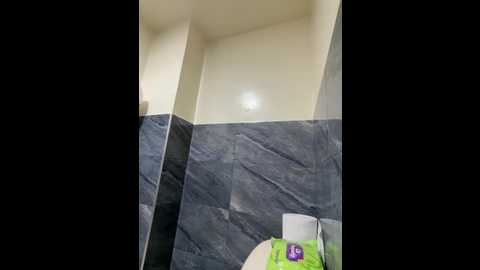 roouse @ stripchat on 20251014