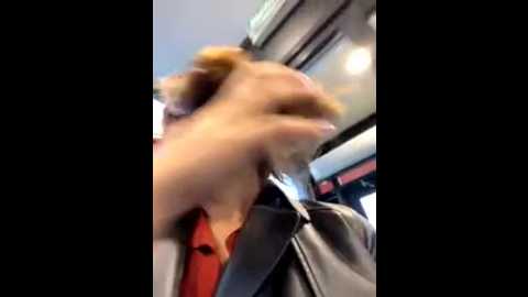 south_carolina @ stripchat on 20251014