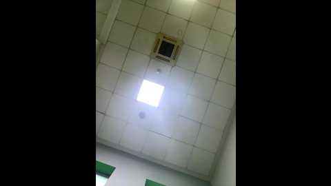 eveangelll @ stripchat on 20251015