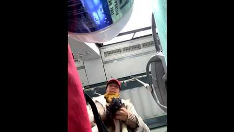 eveangelll @ stripchat on 20251015