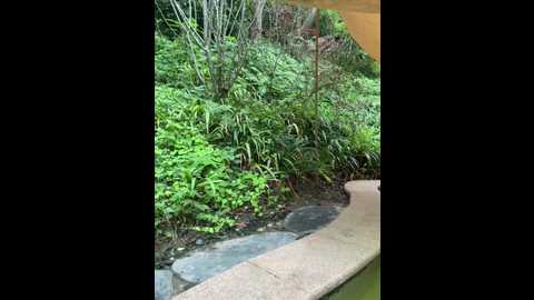 jiajia_l @ stripchat on 20251015