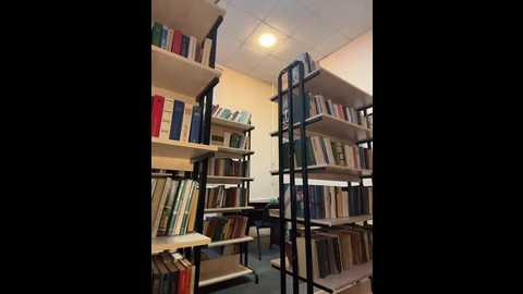 liza_risky @ stripchat on 20251015