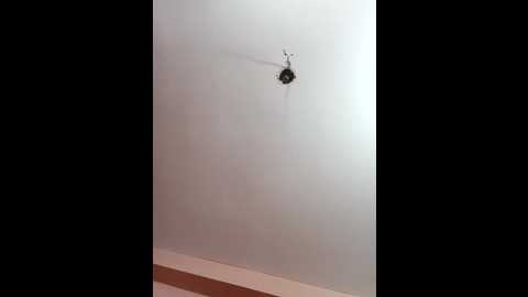 megla879 @ stripchat on 20251015